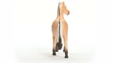 Figurina Joc Schleich Norwegian Fjord Horse Gelding (13979)