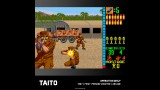 Joc Evercade Taito Arcade 2 Ever Int
