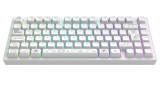 Dark Project Nova Keyboard White 81 Rgb Wireless pentru PC