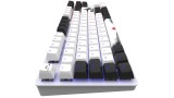 Dark Project One 87 Keyboard Fuji Rgb pentru PC