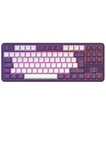 Dark Project Keyboard Purple 87 Rgb pentru PC