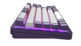 Dark Project Keyboard Purple 87 Rgb pentru PC