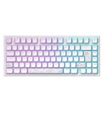 Dark Project Nostra Keyboard White 81 Rgb 
