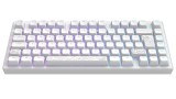 Dark Project Nostra Keyboard White 81 Rgb pentru PC