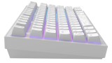 Dark Project Nostra Keyboard White 81 Rgb pentru PC