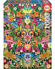 Educa 1000 Pcs Tucans (80-19934)