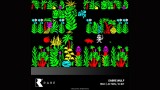 Joc Blaze Evercade Rare Collection 1 pentru EVERCADE