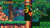 Joc Freedom Planet 2 Deluxe Edition pentru NSW