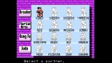 Joc River City Fighting Legend pentru NSW