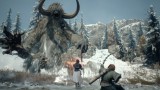 Dragons Dogma 2 Dark Arisen Master Edition (code In A Box) - PC