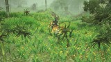 Joc Sacred 2 Remaster pentru NSW