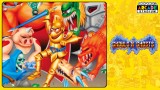 Joc Capcom Arcade Stadium Cover C (captain Commando) pentru NSW