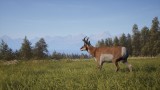 Way Of The Hunter 2 - Xbox Series X