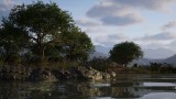 Way Of The Hunter 2 - Xbox Series X